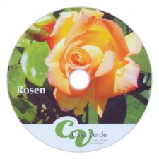 Rosen