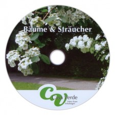 Bäume & Sträucher